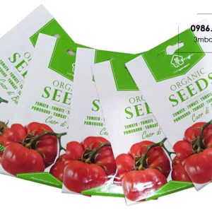 Địa chỉ in túi đựng hạt giống số lượng ít, giá rẻ